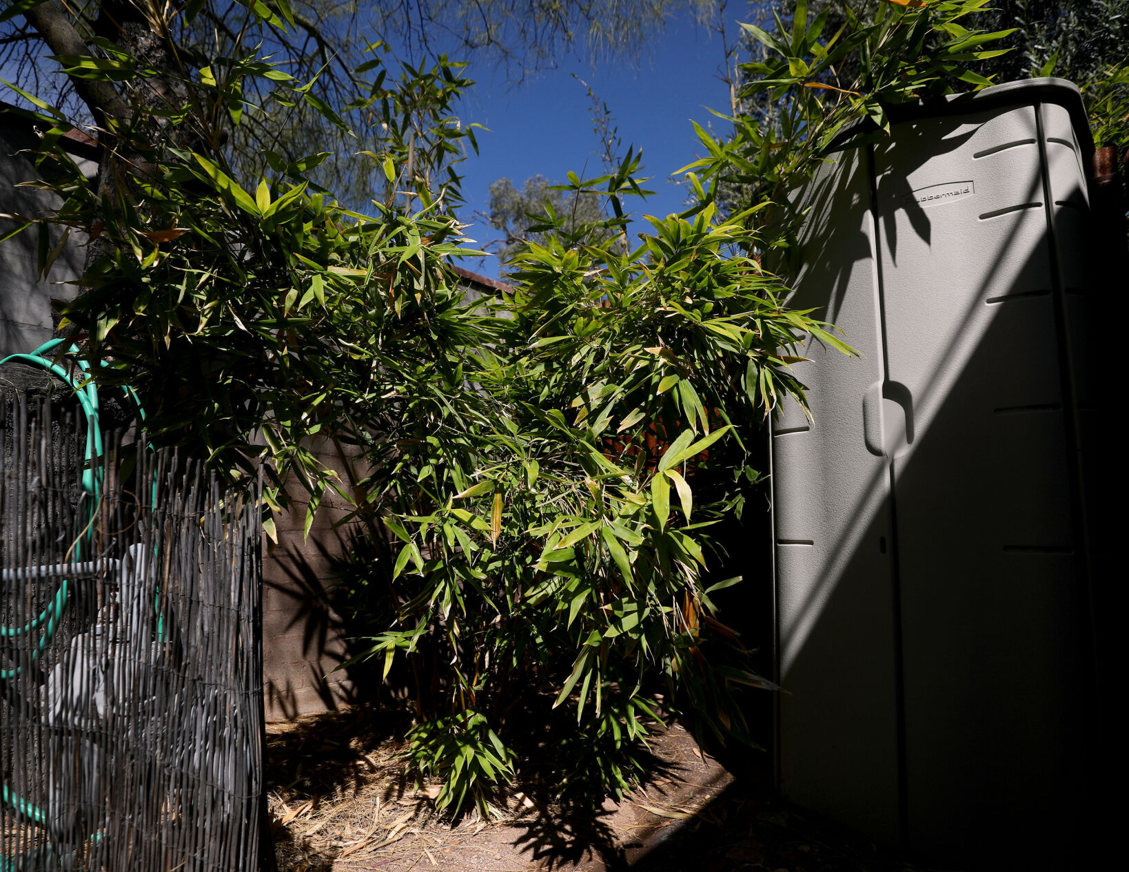 Greywater, Tucson, 2022